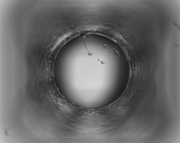 X0000102251256200807251314