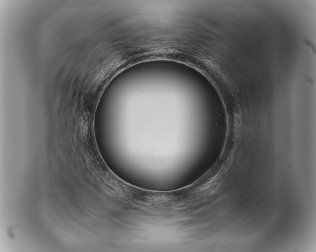X0000102251257200807251314