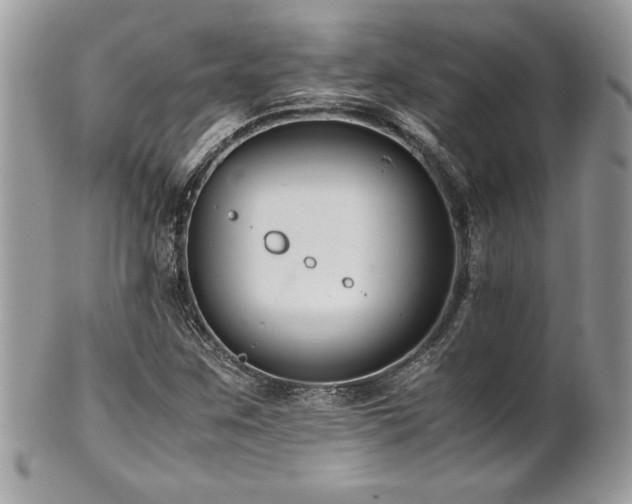 X0000102251259200807251314