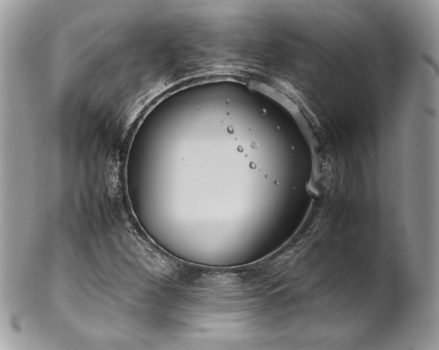 X0000102251260200807251314