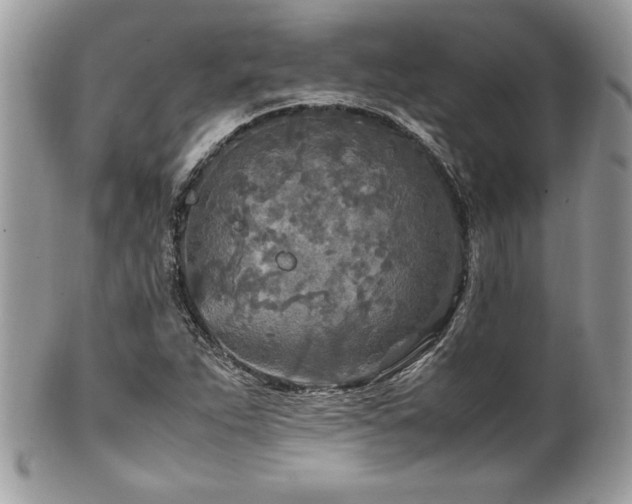X0000102251263200807251314