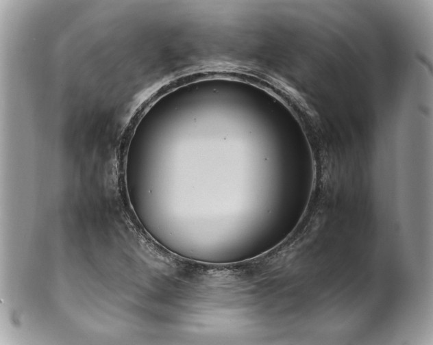 X0000102251264200807251314