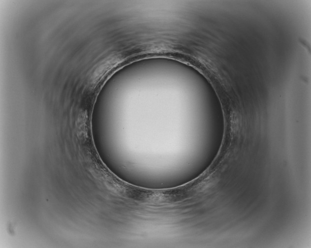 X0000102251265200807251314