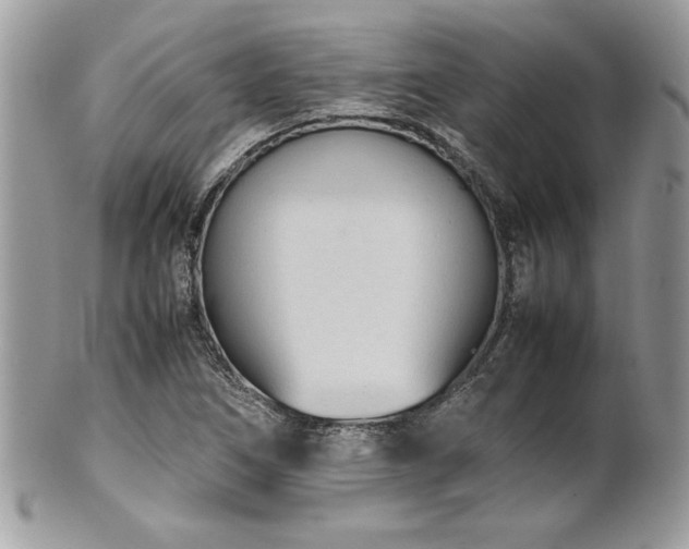 X0000102251266200807251314