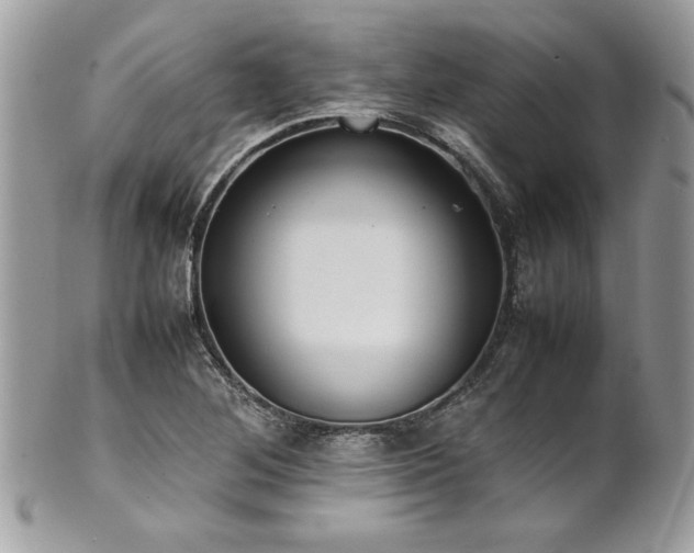 X0000102251268200807251314
