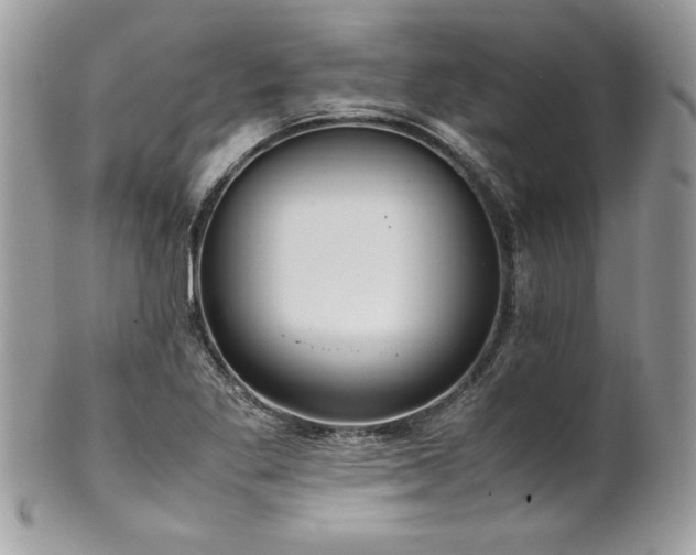 X0000102251269200807251314