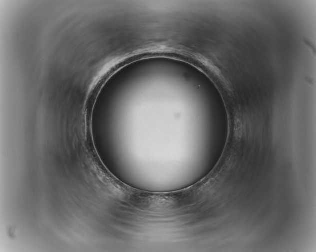 X0000102251270200807251314