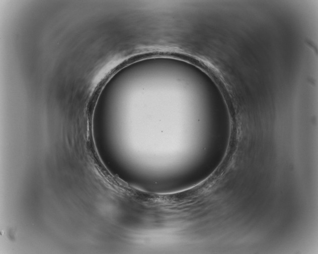 X0000102251271200807251314