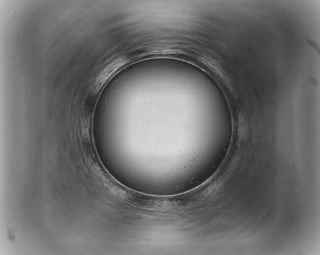 X0000102251273200807251314