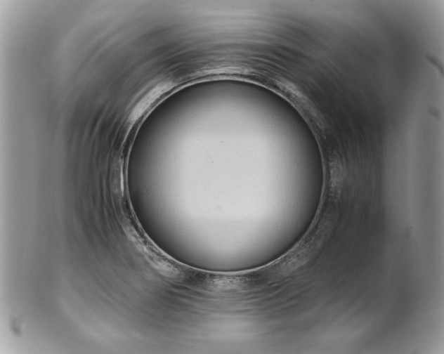 X0000102251274200807251314