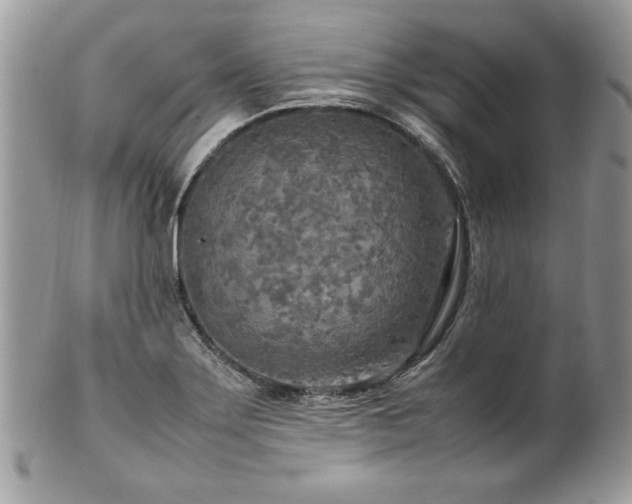 X0000102251275200807251314