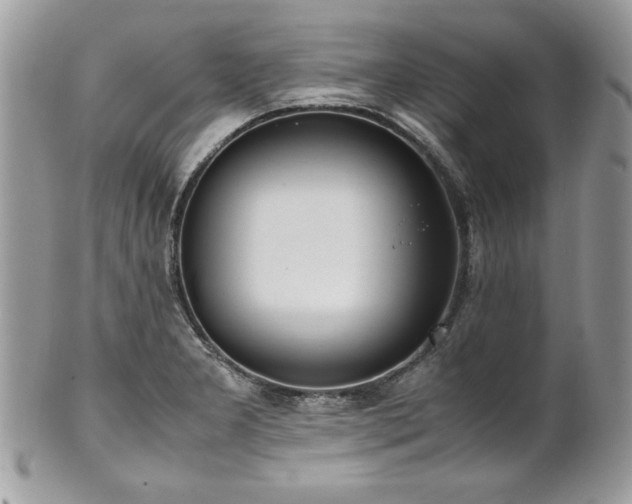 X0000102251277200807251314