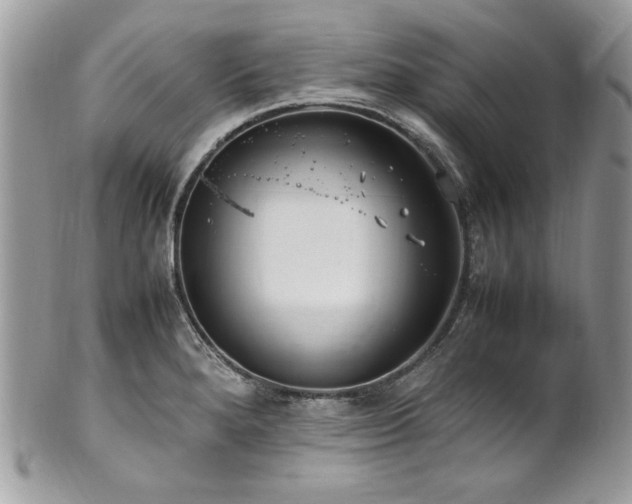 X0000102251280200807251314