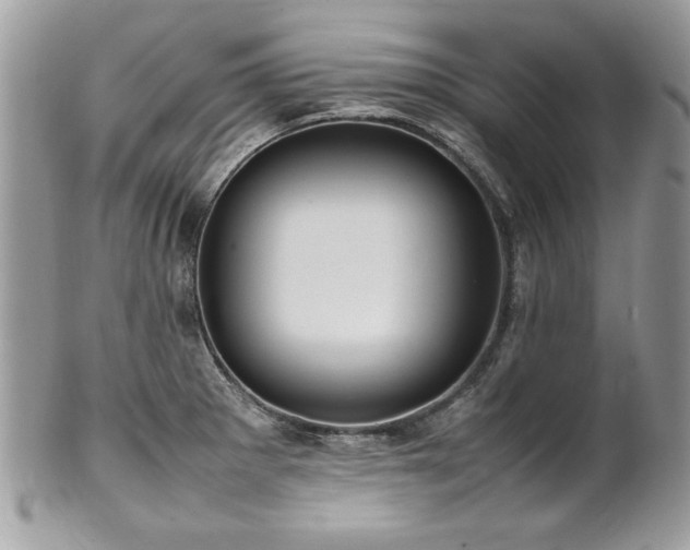 X0000102251281200807251314