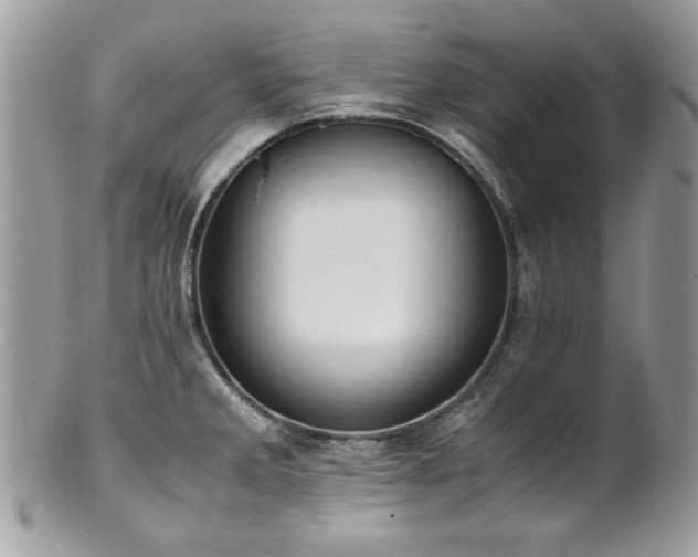 X0000102251285200807251314