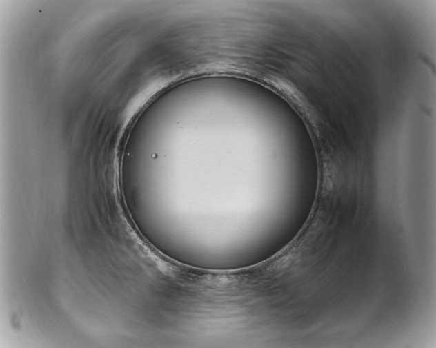 X0000102251286200807251314