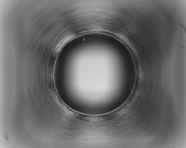 X0000102251289200807251314
