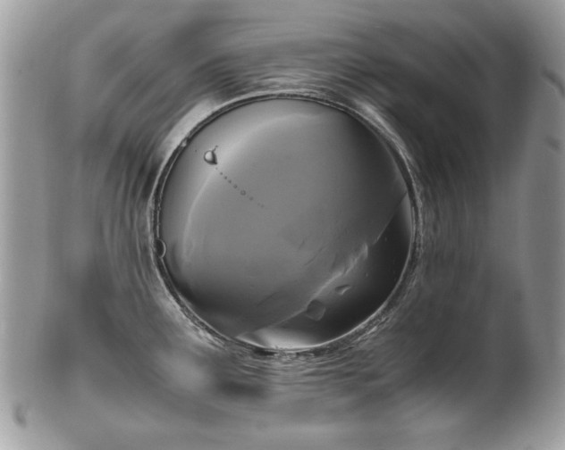 X0000102251291200807251314