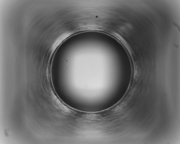X0000102251293200807251314