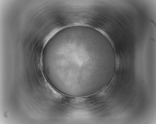 X0000102251294200807251313
