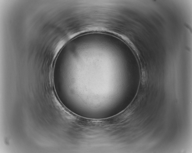 X0000102251295200807251313