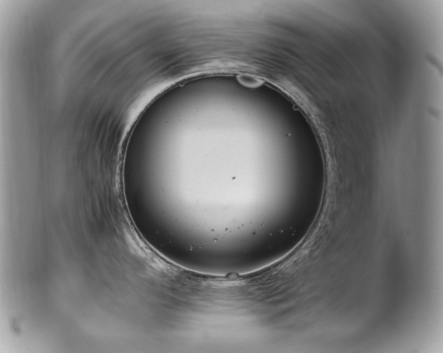 X0000102251296200807251313