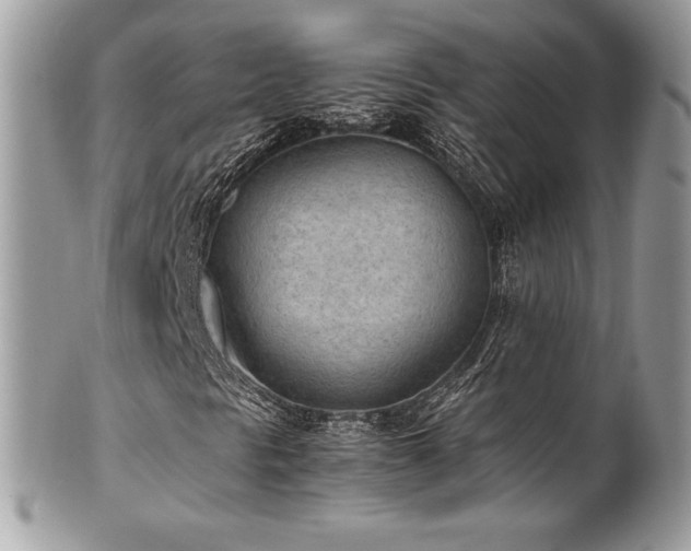 X0000102251297200807251313