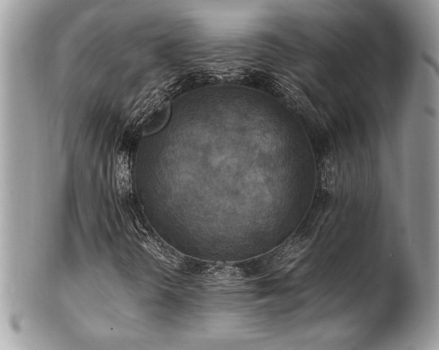 X0000102251298200807251313
