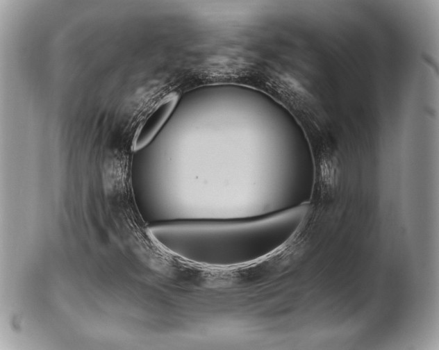 X0000102251300200807251313