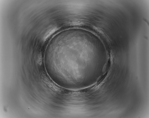 X0000102251306200807251313
