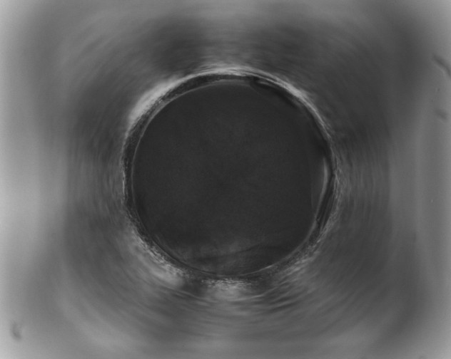 X0000102251319200807251313