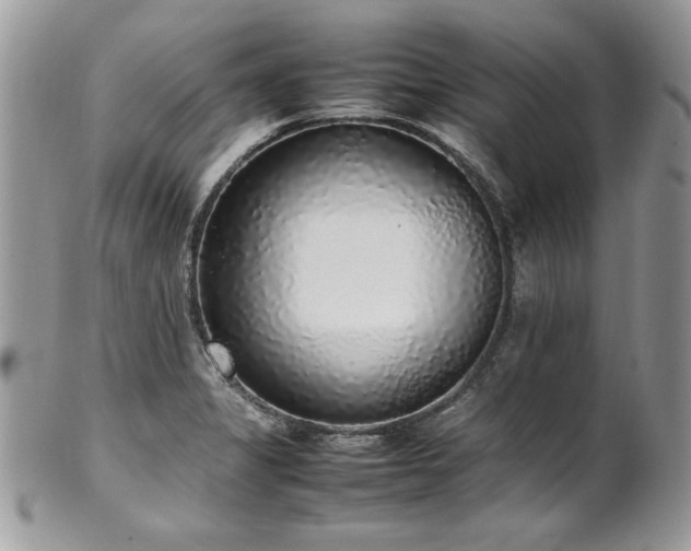 X0000102251325200807251313