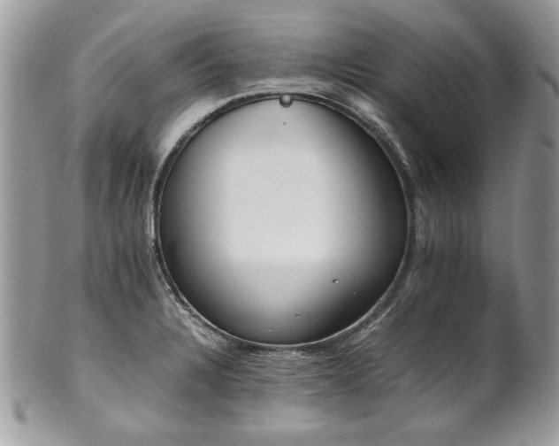X0000102251328200807251313