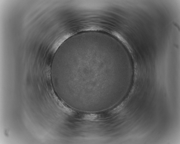 X0000102251329200807251313