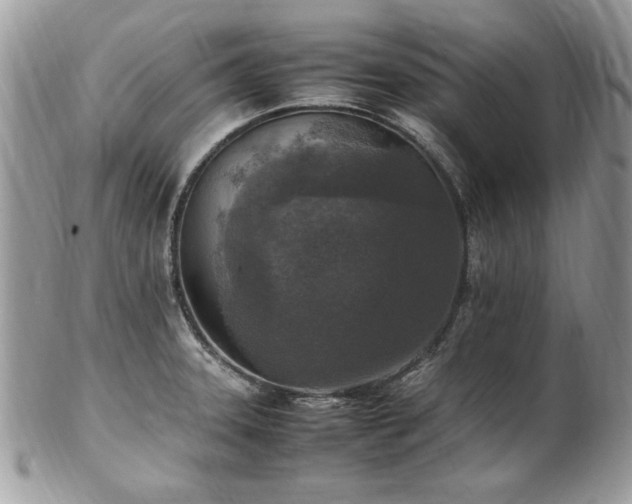 X0000102251331200807251313