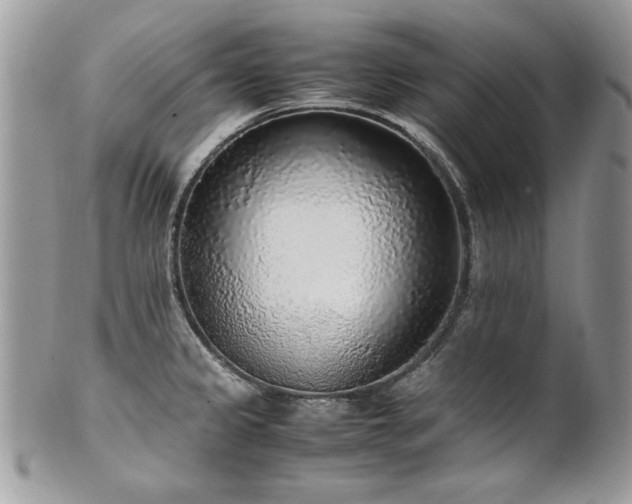 X0000102251333200807251313