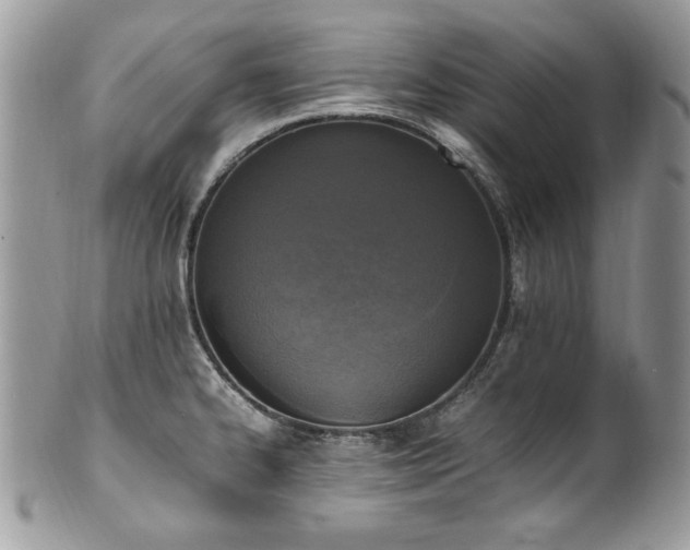 X0000102251334200807251313