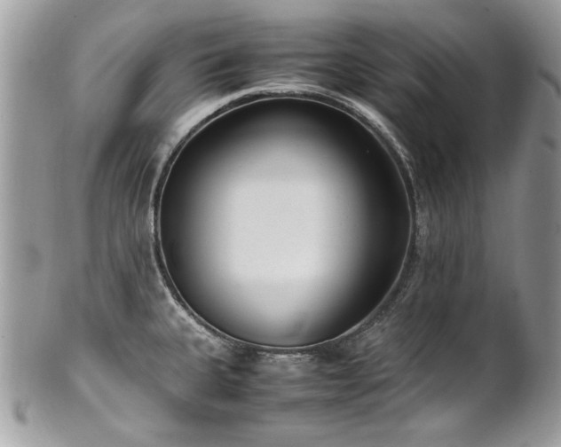 X0000102251335200807251313