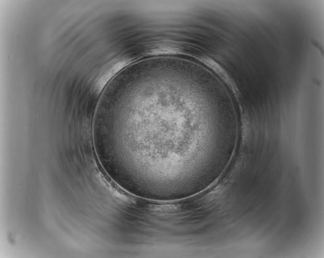 X0000102251337200807251313