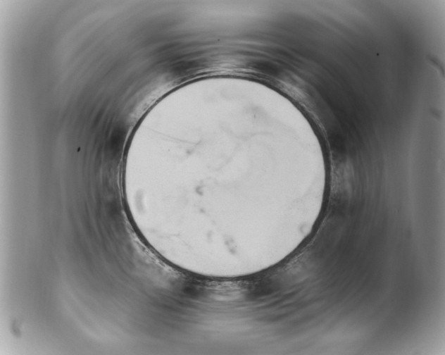 X0000102251338200807251313