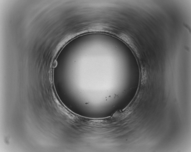 X0000102251342200807251313