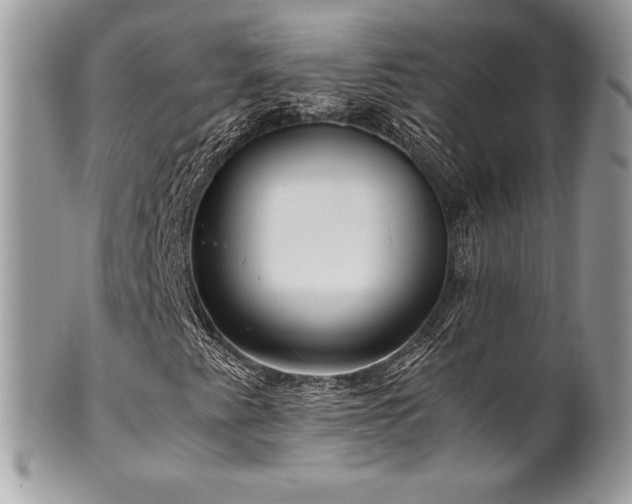X0000102251345200807251313