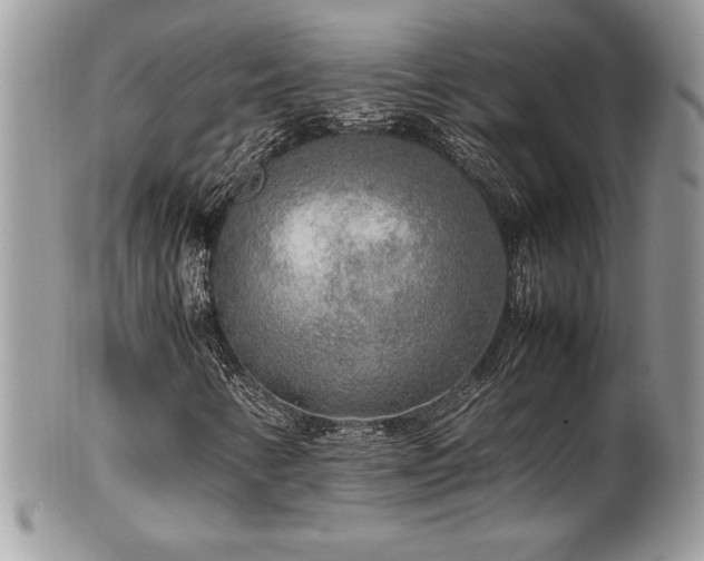 X0000102251346200807251313