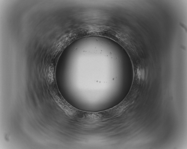 X0000102251348200807251313