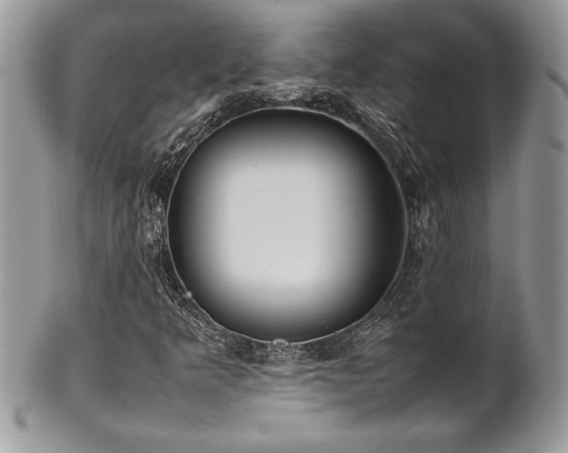 X0000102251349200807251313