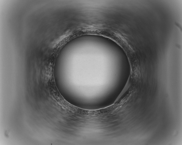 X0000102251350200807251313