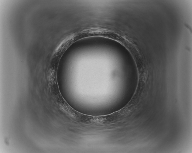 X0000102251351200807251313