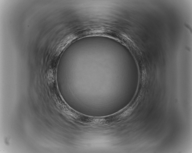 X0000102251353200807251312