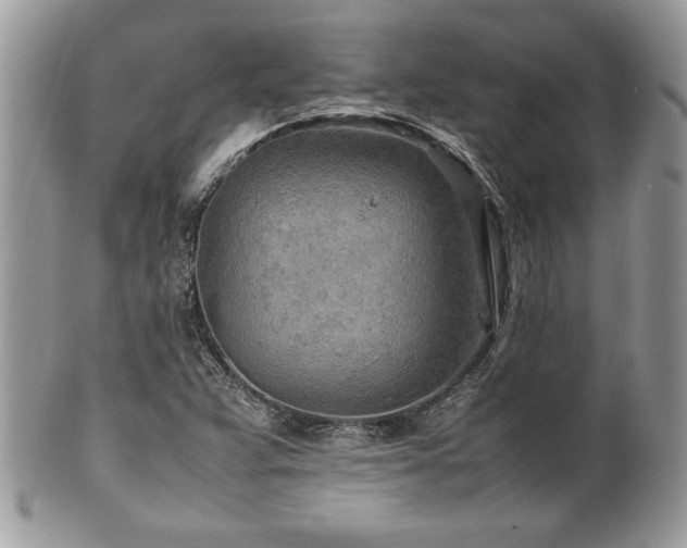 X0000102251359200807251312