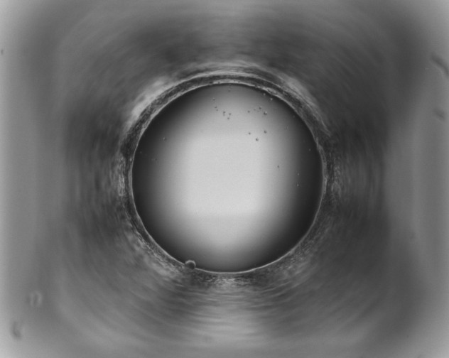 X0000102251360200807251312